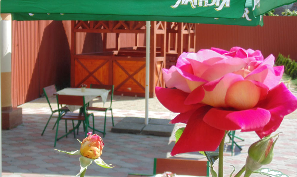 Restautant-U-Anity-yard
